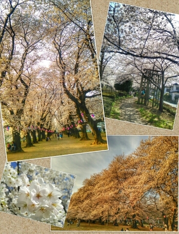 20150331182133581.jpg