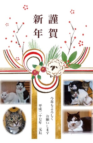2015新年カード.jpg