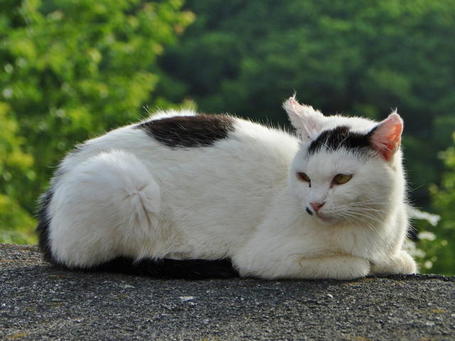 DSC00016.jpg