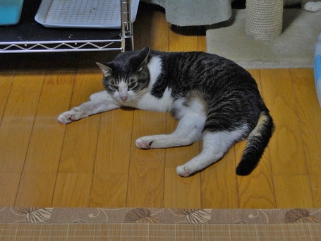 DSC00019.JPG