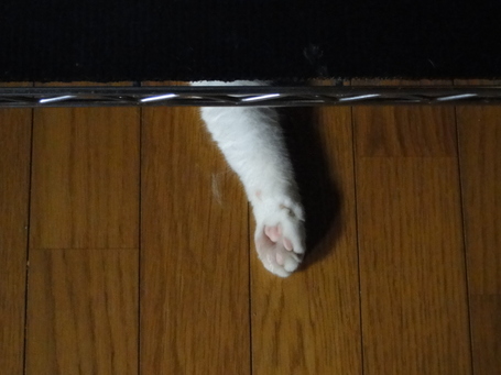 DSC00037.JPG