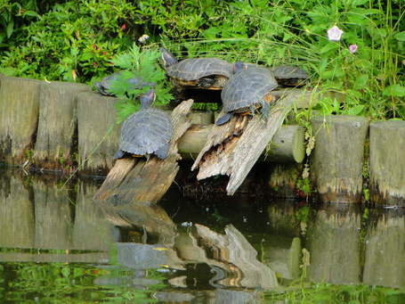 DSC00142.JPG