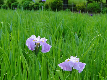 DSC00155.JPG