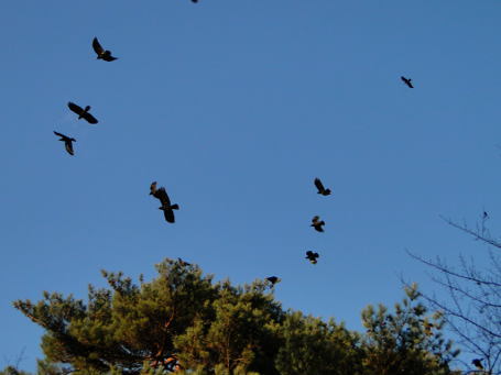 DSC00165.JPG