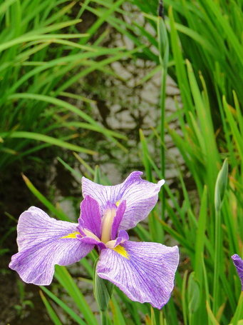 DSC00183.JPG