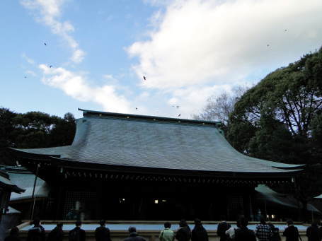 DSC00186.JPG