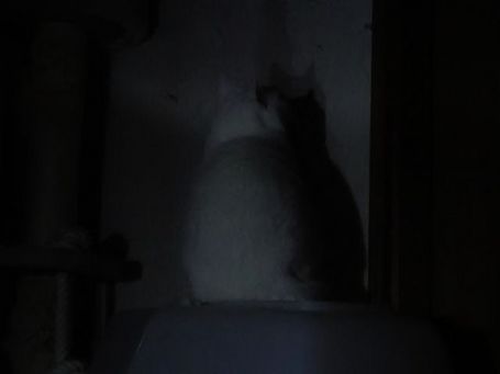 DSC00260.JPG