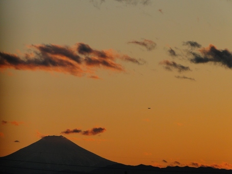 DSC00293 (800x600).jpg
