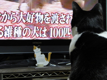 DSC00400.JPG