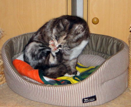 DSC00521.JPG