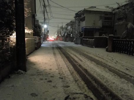 DSC00534.JPG