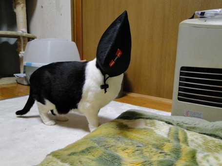 DSC00542.JPG
