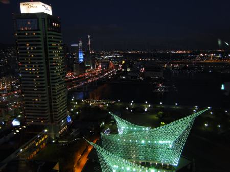 DSC00590.jpg
