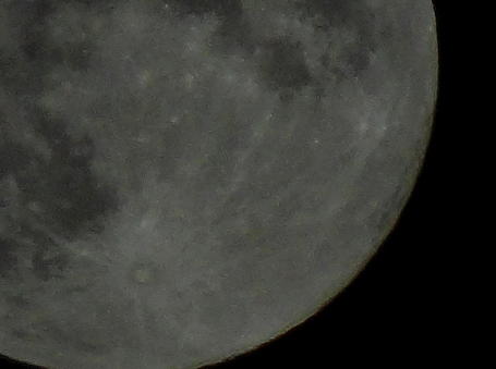 DSC00700.jpg