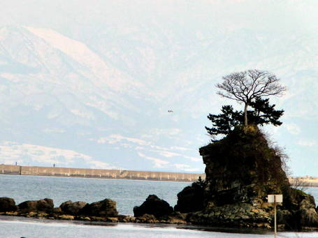 DSC00791.JPG