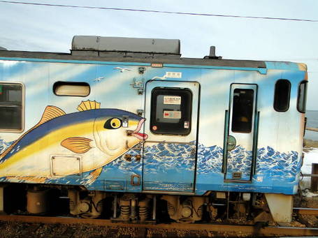 DSC00800.JPG