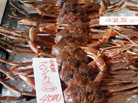 DSC00939.JPG