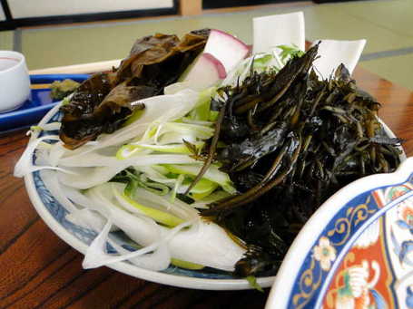 DSC00985.JPG
