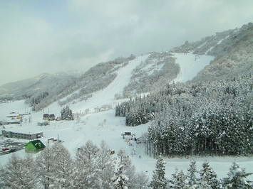 DSC01081.jpg