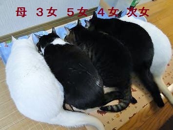 DSC01150.jpg