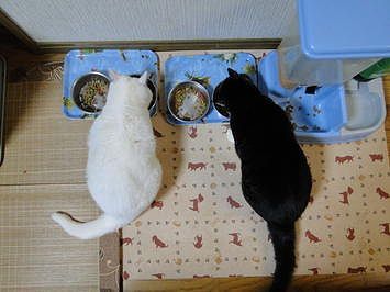 DSC01157.jpg