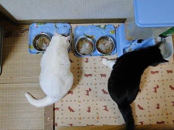 DSC01158.jpg