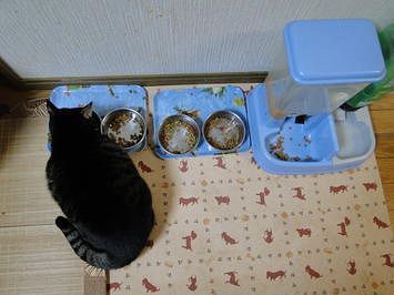 DSC01162.jpg