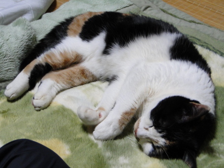 DSC01243.JPG