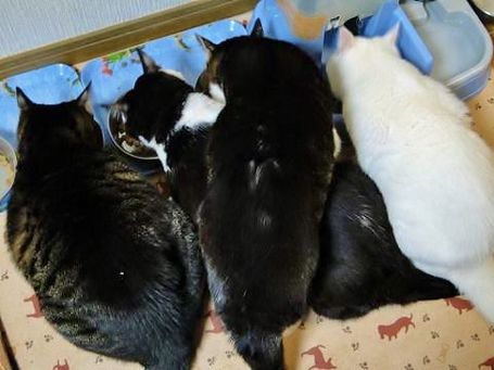 DSC01378 (480x360).jpg
