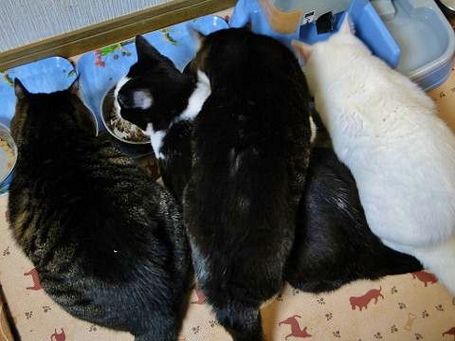 DSC01379 (480x360).jpg