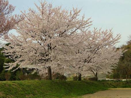 DSC01528.jpg