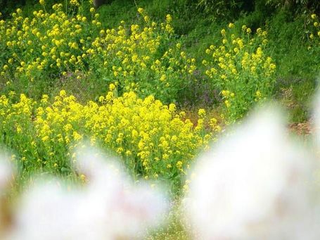 DSC01530.jpg