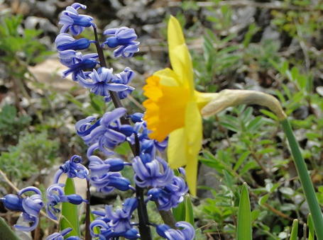 DSC01549.jpg