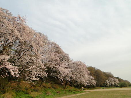 DSC01598.jpg