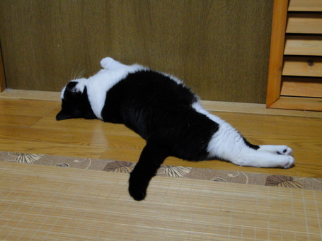 DSC02143.JPG