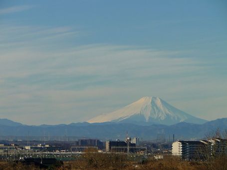 DSC04855.JPG