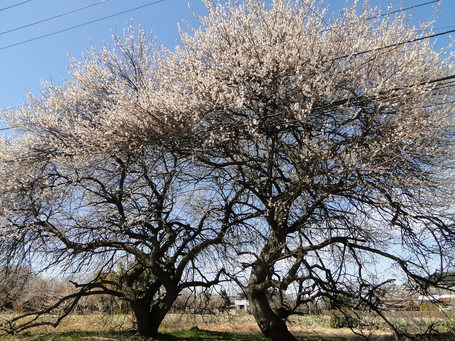 DSC09902.JPG