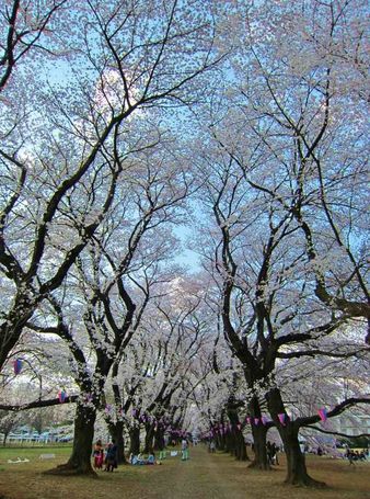 IMG_0148.jpg