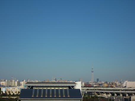 IMG_1490.jpg