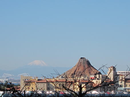 IMG_1495.jpg