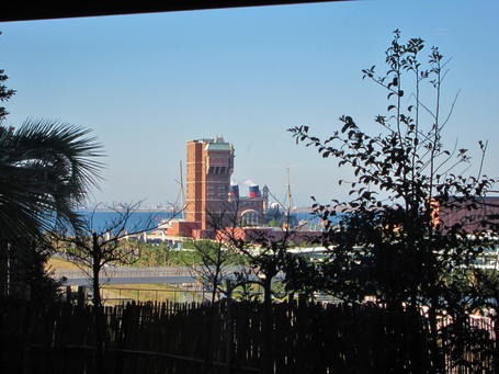 IMG_1496.jpg