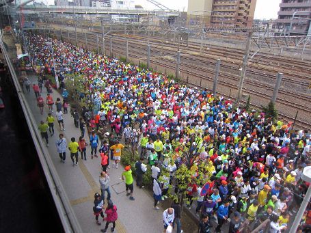 IMG_3121 (455x341).jpg