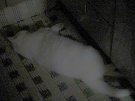 IMG_3521.JPG