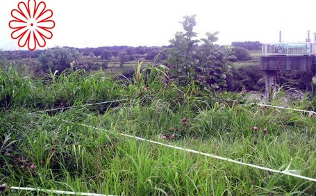 P1001181̃Rs[.jpg