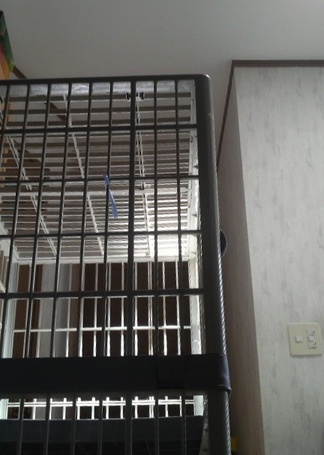 P1001727.JPG